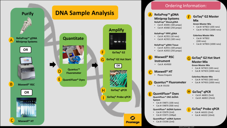 DNA Workflow Flyer GFN025